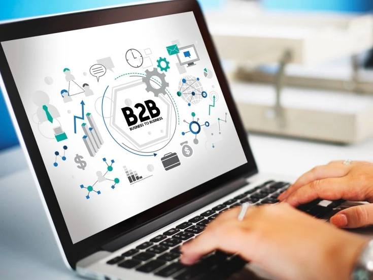 B2B Marketplace Development