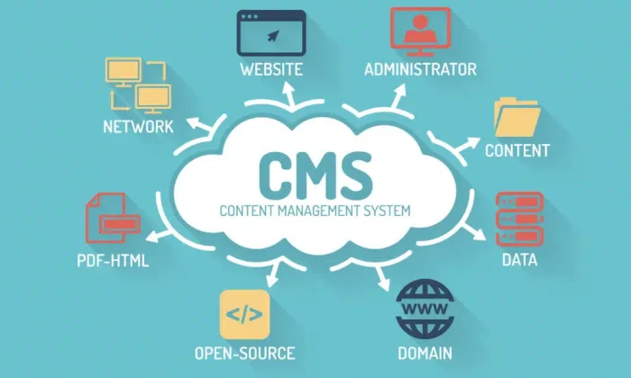 Custom CMS